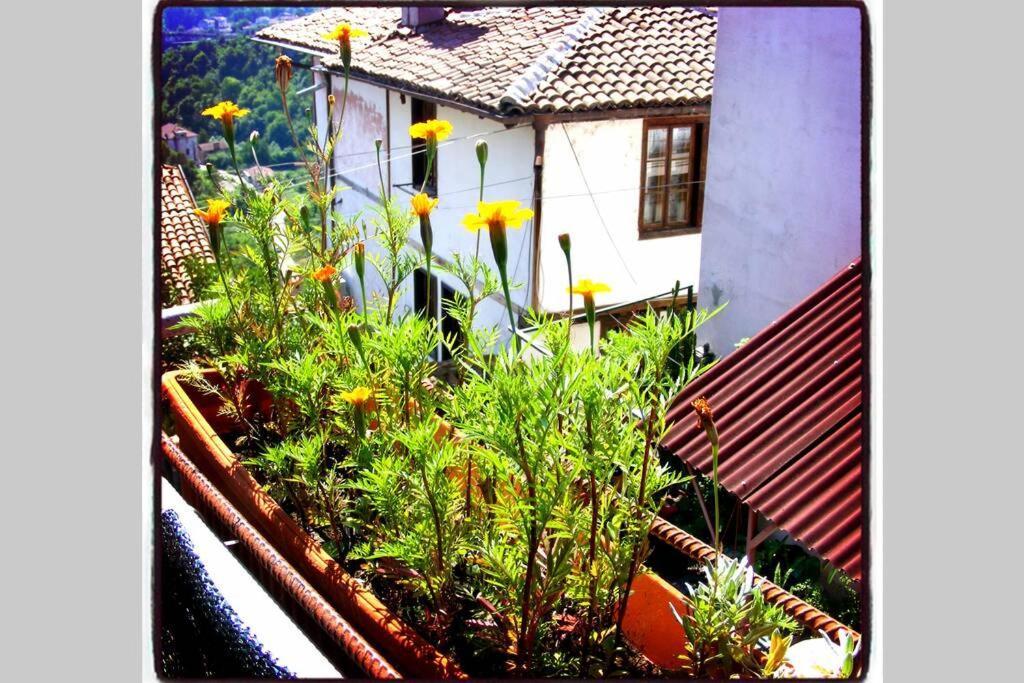 Authentic Guest Stay In The Heart Of Veliko Tarnovo Студио С Изглед Към Царевец Kültér fotó